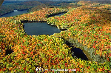 Laurentides-0008